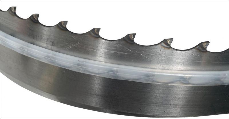 Tungsten Carbide Band Saw Blade for Hard Wood