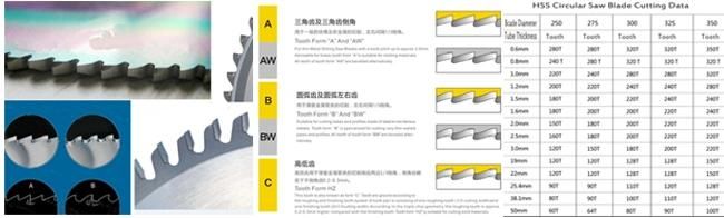 HSS Dmo5 Circular Saw Blade Ticn Coated for Stainless Steel Tube Cutting.