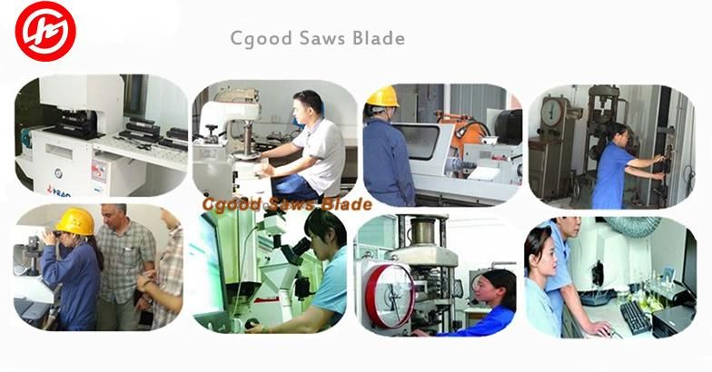 China Long Lifetime Wood Cutting Band Saw Blades for Woodworking Sawmill
