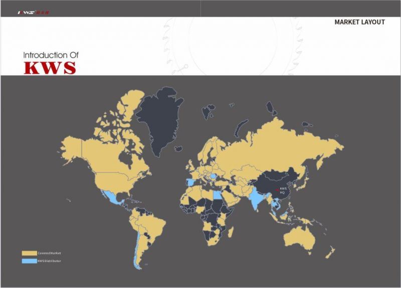 Kws 380mm Wood Cutting Panel Sizing Saw Blade with Carbide