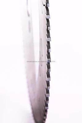 12&quot; X 60t T. C. T Panel Sizing Saw Blade for Professional Use