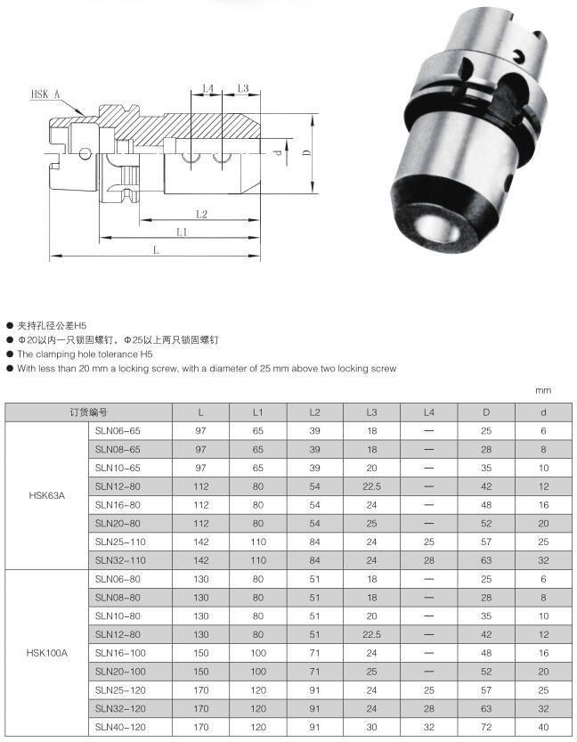 DIN69893 CNC Tool Hsk63A Hsk100A Sln Side Lock Holders