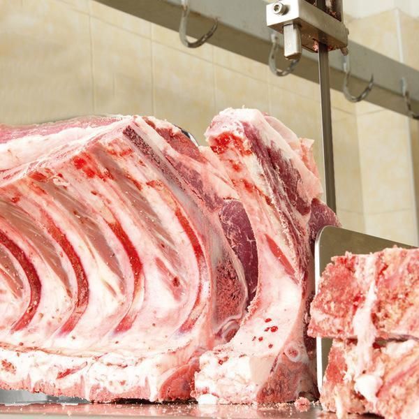 Food Processing Slaughterhouse Band Saw Cutting Machine Frozen Beef