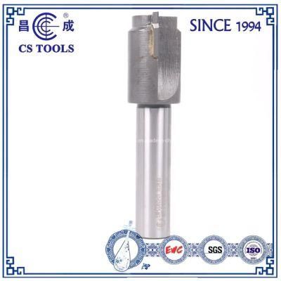Common Steel Carbide Insert 2 Straight Flutes Profile Milling Cutter