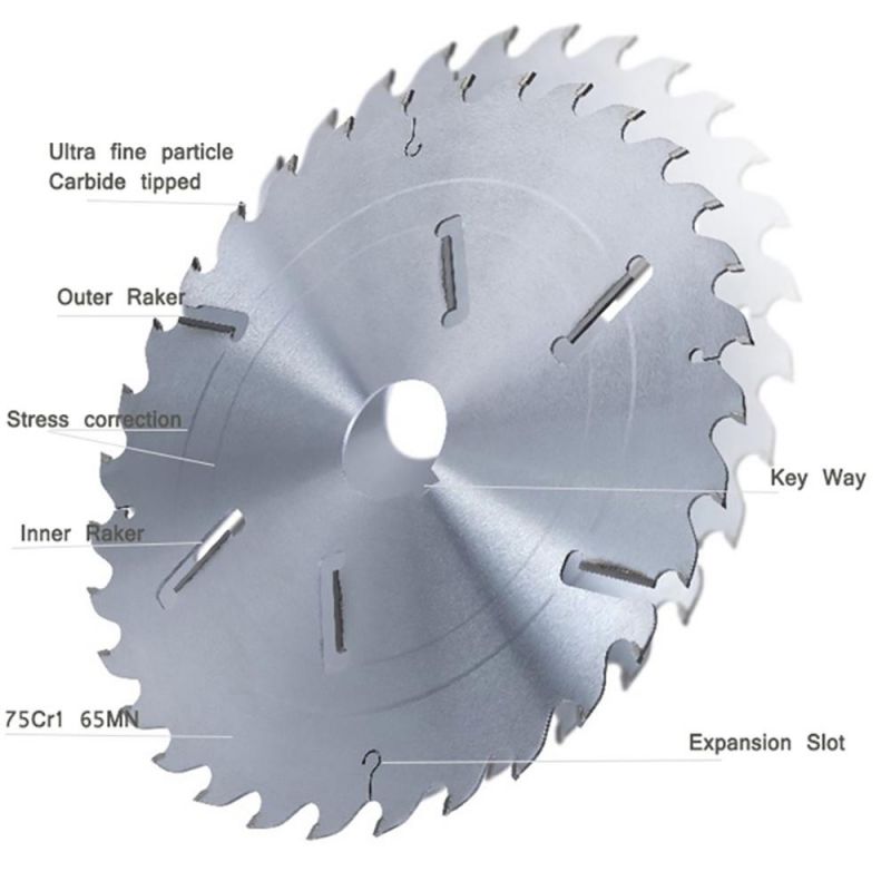 Carbide Multi Rip Saw Blade with Scraper / Wipers / Keyway