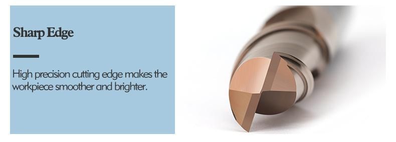 Bfl Solid Carbide 2/4 Flute Square End Mill Flat End Mill with Tisin Coating for Harden Steel