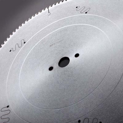 Clean Cross Section of Saw Blade for Cutting Ferrous Metals