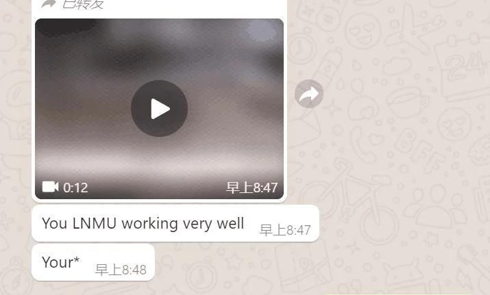 ISO Tungsten Carbide Turning Cutter PVD CVD Double Yollow Copper Black Coatings with Vbmt/Vnmg Inserts