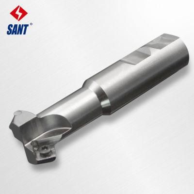 Indexable Chamfer Milling Cutter with High Precision DC01.12W25.025.02