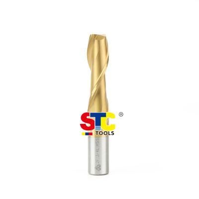 ANSI High Speed Steel HSS Tin Coating Two Flute Single-End End Mills