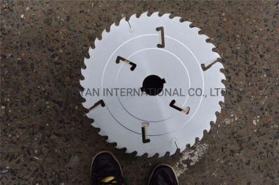 Tct Multi-Ripping Saw Blade with Rakes for Cutting Wood