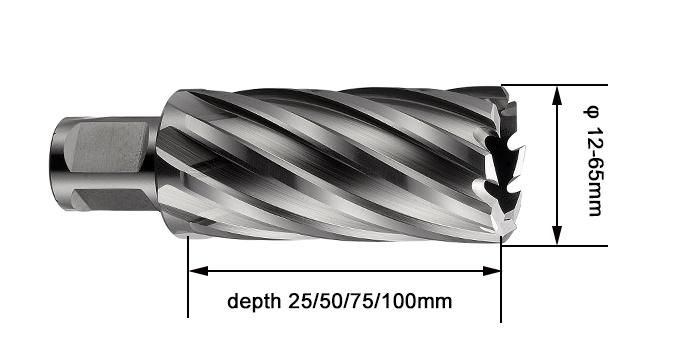 Chinese Factory HSS Annular Cutter Drill with Universal Shank