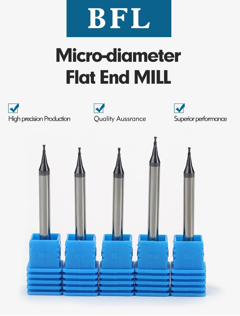 Bfl Carbide 2 Flutes Micro Diameter 0.5mm End Mill Cutter