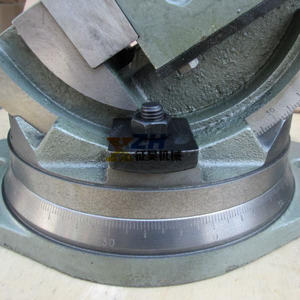 Qhk Declinable Tilting Vise with Swivel Base Q41 8" Milling Vice