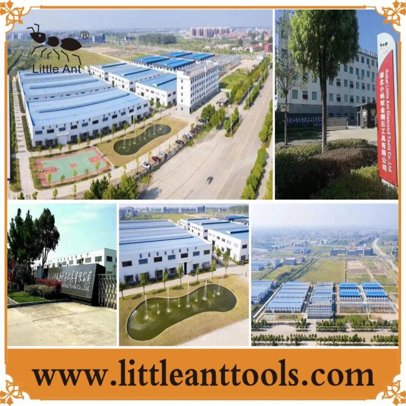 Little Ant Brand 10"/250.12"/300mm Aluminum Alloy Cutting Saw Blade