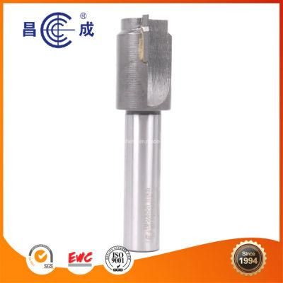 Carbide Insert 2 Flutes Profile Milling Cutter with Inner Colding Hole